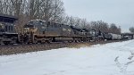 NS 7619